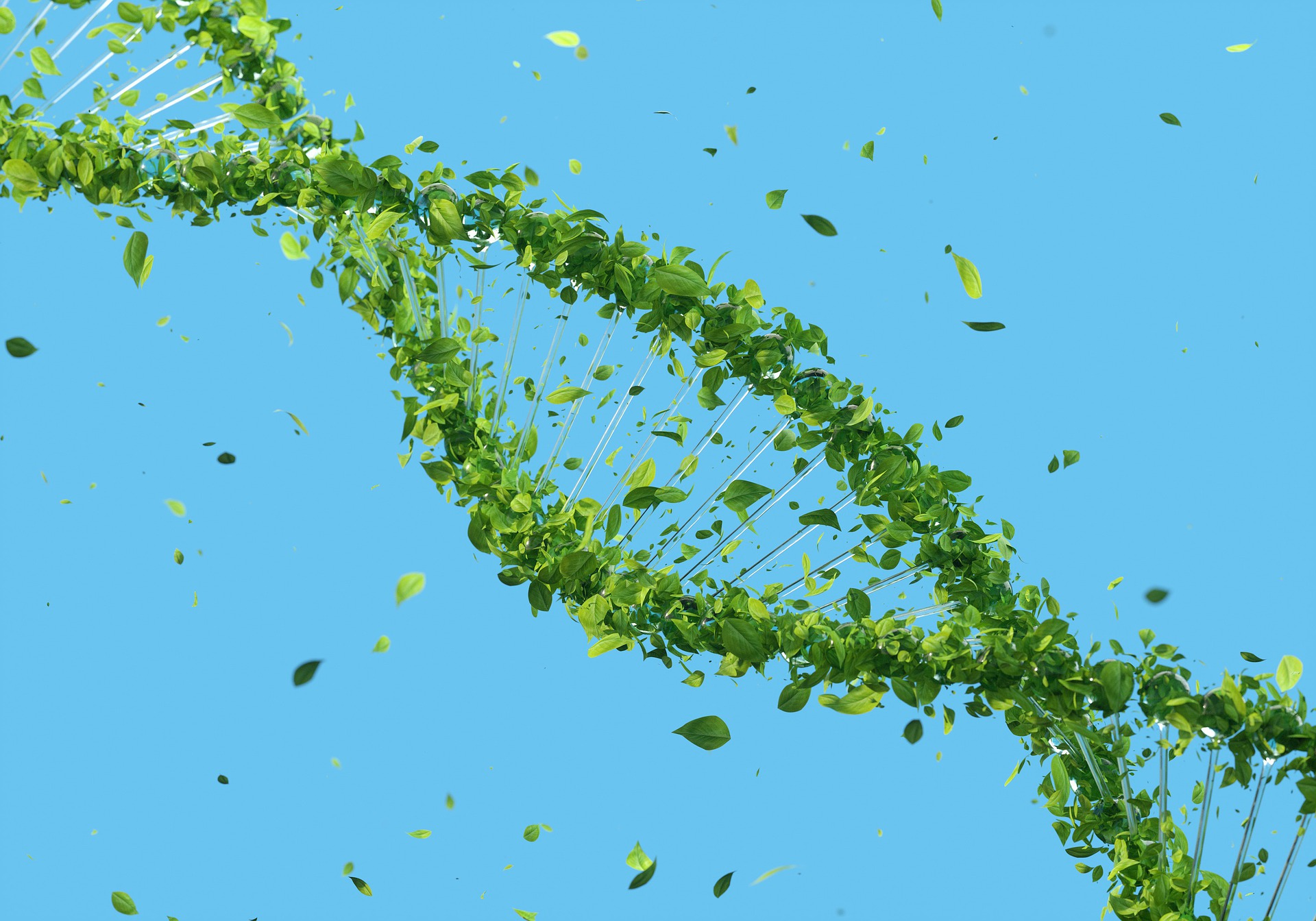 DNA repairing with epigenetics